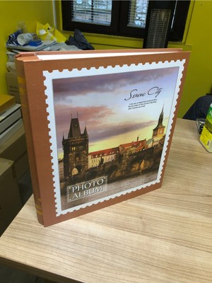 Rabsev RS19 Fotoğraf Albümü 10X15CM 500 Fotoğraf Kapasiteli Lüx Desenli Kutusuz