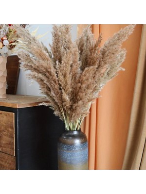 Froyi 7 Adet | Dekoratif Pampas | Dekoratif Tüyler | Gerçek Kuru Ot | Bohem Dekor | Düğün Kemeri