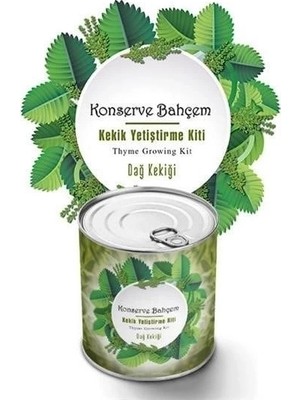 Genel Tedarik Konserve Bahçem Evde Konservede Kekik Dağ Kekiği Yetiştirme Kiti