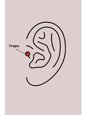 TKÇ 316L Çelik Gümüş Renk Zirkon Taş Detay Beyaz Çiçek Model Tragus Piercing 5886