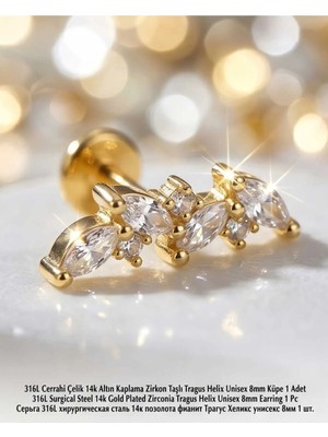 Begonia Accessories 316L Cerrahi Çelik Altın Kaplama Kararmaz Alerji Yapmaz Zirkon Taş Figür Unisex Tragus Helix Küpe Piercing AC210-27