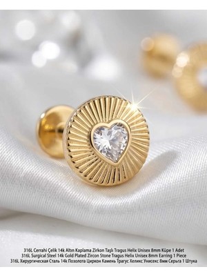 Begonia Accessories 316L Cerrahi Çelik Altın Kaplama Kararmaz Alerji Yapmaz Zirkon Taş Figür Unisex Tragus Helix Küpe Piercing AC210-28