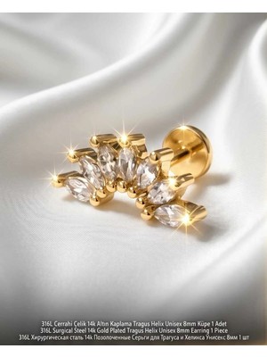 Begonia Accessories 316L Cerrahi Çelik Altın Kaplama Kararmaz Alerji Yapmaz Zirkon Taş Figür Unisex Tragus Helix Küpe Piercing AC210-23