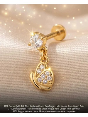 Begonia Accessories 316L Cerrahi Çelik Altın Kaplama Kararmaz Alerji Yapmaz Zirkon Taş Figür Unisex Tragus Helix Küpe Piercing AC210-21