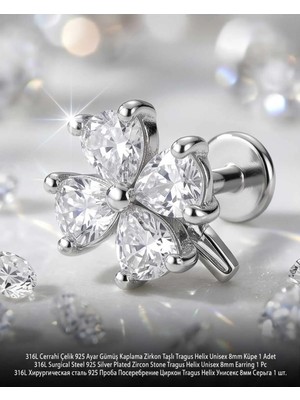 Begonia Accessories 316L Cerrahi Çelik Paslanmaz Kararmaz Alerji Yapmaz Zirkon Taşlı Figürlü Unisex Tragus Helix Küpe Piercing GC210-1