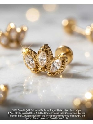 Begonia Accessories 316L Cerrahi Çelik Altın Kaplama Kararmaz Alerji Yapmaz Zirkon Taş Figür Unisex Tragus Helix Küpe Piercing AC210-31