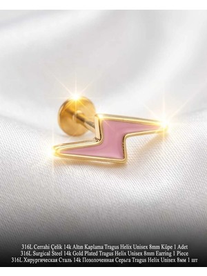 Begonia Accessories 316L Cerrahi Çelik Altın Kaplama Kararmaz Alerji Yapmaz Zirkon Taş Figür Unisex Tragus Helix Küpe Piercing AC210-30