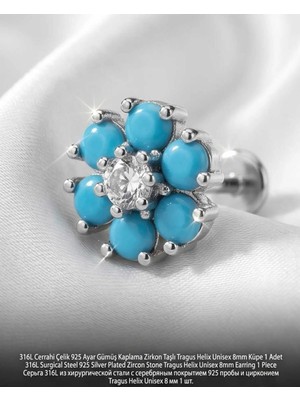 Begonia Accessories 316L Cerrahi Çelik Paslanmaz Kararmaz Alerji Yapmaz Zirkon Taşlı Figürlü Unisex Tragus Helix Küpe Piercing GC210-11