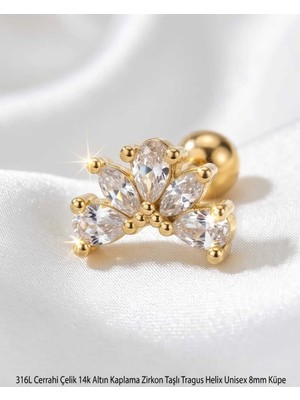 Begonia Accessories 316L Cerrahi Çelik Altın Kaplama Kararmaz Alerji Yapmaz Zirkon Taş Figür Unisex Tragus Helix Küpe Piercing AC210-19
