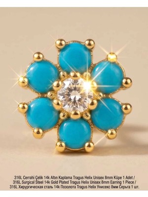 Begonia Accessories 316L Cerrahi Çelik Altın Kaplama Kararmaz Alerji Yapmaz Zirkon Taş Figür Unisex Tragus Helix Küpe Piercing AC210-32