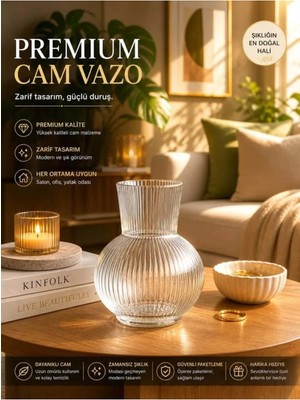 Plant Home Power Mix Cam Vazo – Dekoratif Çizgili Şeffaf Cam