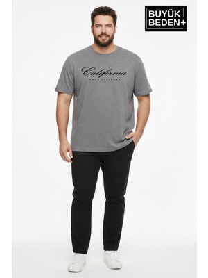 Superlife Süperlife Erkek Büyük Beden El Yazılı California Baskılı 3xl-6xl Bisiklet Yaka Tshırt SPR26TBS510-07