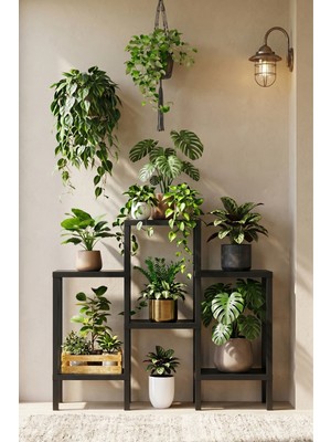 Frapan Home 6 Raflı Plastik Raf Ünitesi Saksılık Çiçeklik Saksı Standı Dekoratif Raf