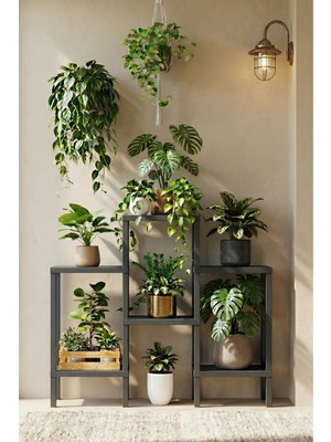 Frapan Home 6 Raflı Plastik Raf Ünitesi Saksılık Çiçeklik Saksı Standı Dekoratif Raf