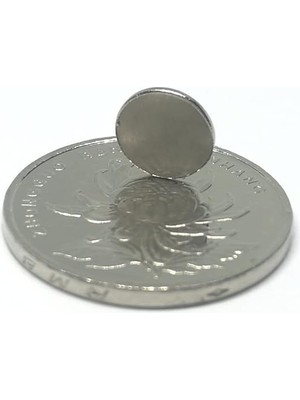 Adet 9x1,5 mm Yuvarlak Güçlü Neodyum Mıknatıs (Çap 9mm Kalınlık 1,5mm)