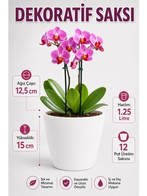 Arkhelais Saksı - Orkide Saksısı - Dekoratif Saksı - Bitki Saksısı - 12 Pot Uyumlu Dış Saksı - Salon Balkon Saksısı 1.25 Litre