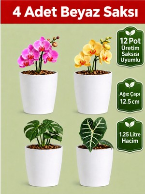 Arkhelais Saksı - Çiçek Saksısı Orkide Saksısı Dekoratif Bitki Saksısı Balkon Saksısı Iç Mekan Saksısı 12 Pot Uyumlu Beyaz 4’lü Set