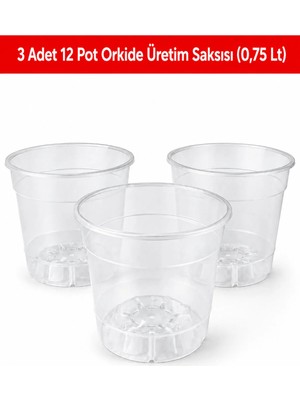 Arkhelais Orkide Saksısı Şeffaf - Orkide Üretim Saksısı - 0,75 Lt Drenajlı Plastik Saksı - 3 Adet 12 Pot