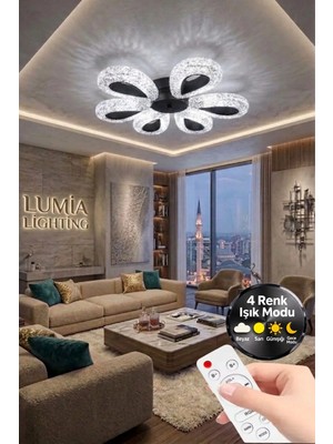 Damla Model 6"lı Siyah Kumandalı 3 Renk Modu Ledli Modern Plafonyer Salon Mutfak Çocuk Yatak Odası LED Avize