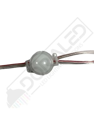 Dora Led ARGB Pixel Led RGB 30mm (20 adet)