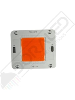 Dora Led 12V 50W Amber Cob LED 12 Volt 50 Watt Cob LED