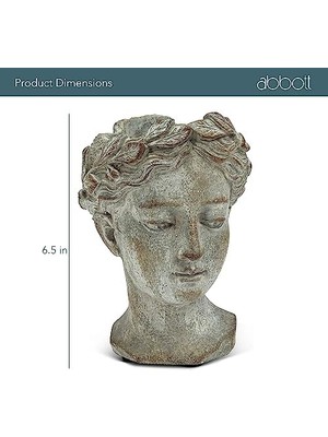 Abbott 27-GODDESS-535-XS Xs Bayan Başı Bitki Saksısı 16,5 cm Y 16,5 cm Y Gri