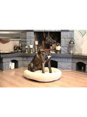 Chips Serisi Kedi ve Köpek Yatağı 70X70 cm
