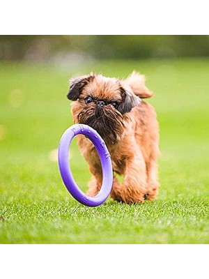 Puller Mını Interaktif Köpek Oyuncağı (2 Halka Set)