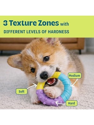 Petstages Küçük Köpekler ve Diş Çıkarma Yavruları Için Orka Diş Çiğneme Oyuncakları - 3'lü Paket