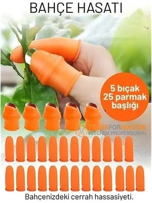 Renas Store 30 Parça Premium Pratik Bahçe Hasat Seti: Paslanmaz Çelik Başparmak Kesici Parmak Koruyucu