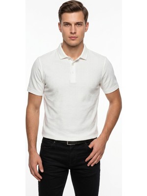 Raymons Erkek Polo Yaka Kısa Kollu Triko Tişört Regular Kalıp BGL-ST05561