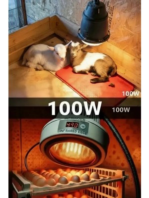 Renas Store 100W Kızılötesi (Infrared) Isıtıcılı Hayvan Isıtma ve Kuluçka Lambası (Kırmızı Işık) E27 (Kalın Duy