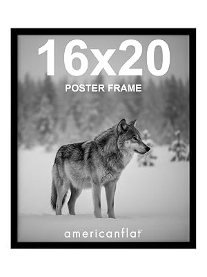 Nacario Americanflat Siyah 16X20 Resim Çerçevesi - Parlak Pleksiglaslı Ince Bordürlü Fotoğraf Çerçevesi - Y