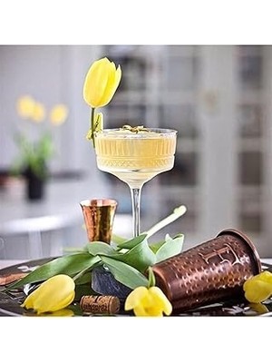Nacario Paşabahçe Elysia 6'lı Sunum Kadehi 440436