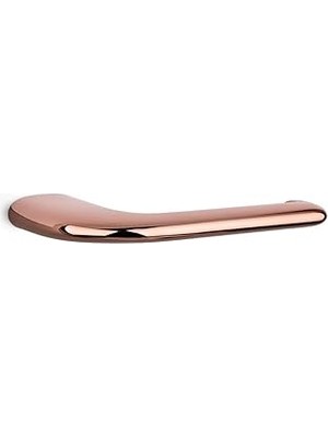 Nacario System Dorado Tuvalet Kağıtlığı Renk 21X82X171 mm