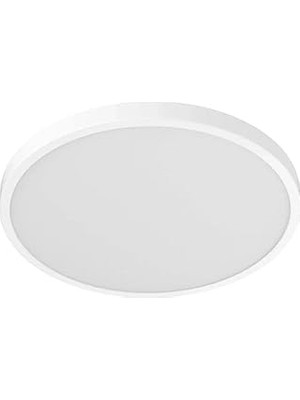 Nacario Ceiling Light D20