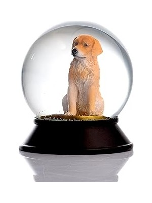 Nacario Snoowg Cam Reçine Altın Patiler Retriever Kar Küresi Hediye