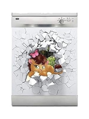Nacario Bulaşık Makinesi Sticker Kaplama Beyaz Eşya Kaplama Şirin Arslan