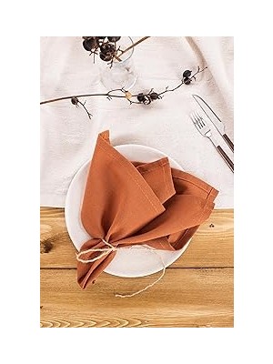 Nacario Wellstil 6'lı Keten Peçete 40 x 40 (Tarçın)