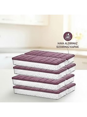 Nacario Selka Nora 8'li 1,2 Lt. Küçük Boy Mürdüm