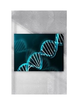Nacario Postermanya (PSTER3922) Dna Bilimsel Poster (70X100CM)