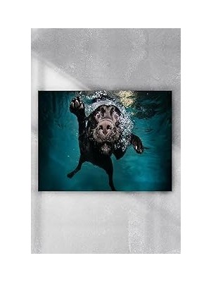 Nacario Postermanya (PSTER9686) Yüzen Eğlenceli Mizahi Poster (60X90CM)