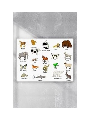Nacario Postermanya (PSTER5008) Ingilizce Hayvanlar Eğitim Posteri 70X100 cm