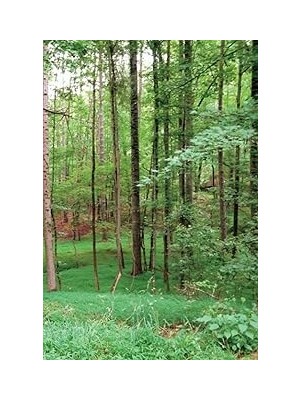 Nacario Nature Themed Journal