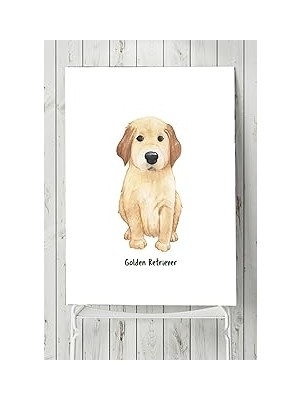 Nacario Postermanya (PSTER4728) Retriever Çocuk Odası Poster (70X100CM)