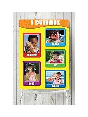 Nacario Postermanya (PSTER2274) 5 Duyu Organı Eğitim Posteri (80X115CM)