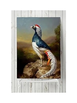 Nacario Postermanya (PSTER5889) Kuş Sanatsal Poster 50X70CM
