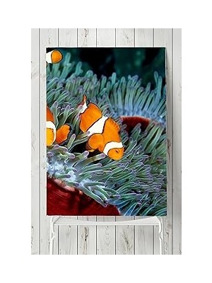 Nacario Postermanya (PSTER2762) Yeşil Balık Hayvan Posteri (40X60CM)