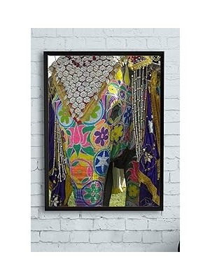 Nacario Postermanya (PSTER11238) Hindistan Fil Manzara Çerçeveli Tablo (50X70CM)
