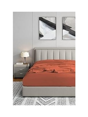 Nacario Soley | Jersey |%100 Doğal Pamuklu Tek Kişilik 120 x 200 Lastikli Çarşaf Kiremit